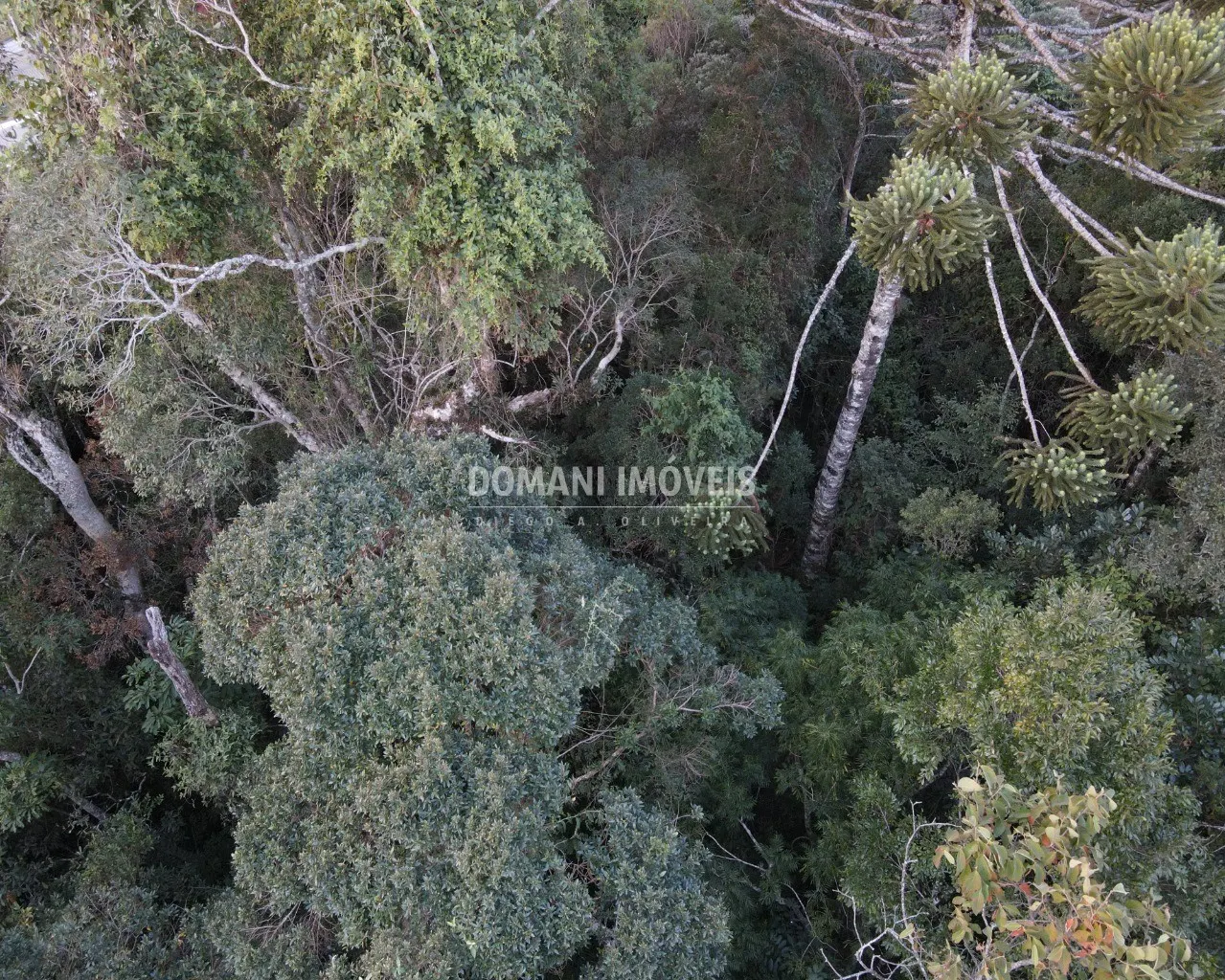 Terreno à venda de 1.780 m² em Campos do Jordão, SP, Brasil