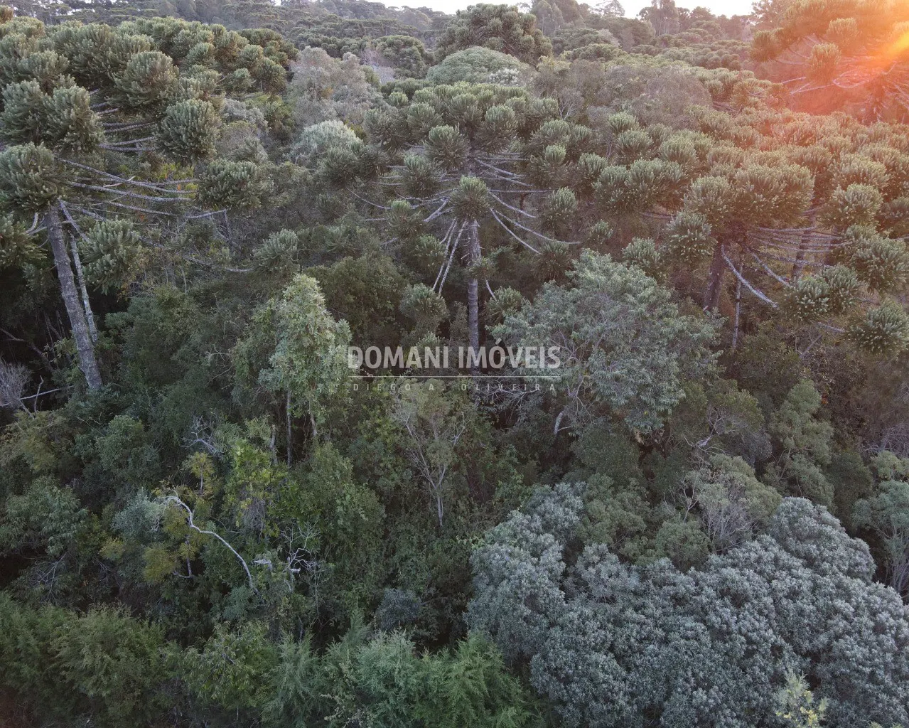 Terreno à venda de 1.780 m² em Campos do Jordão, SP, Brasil