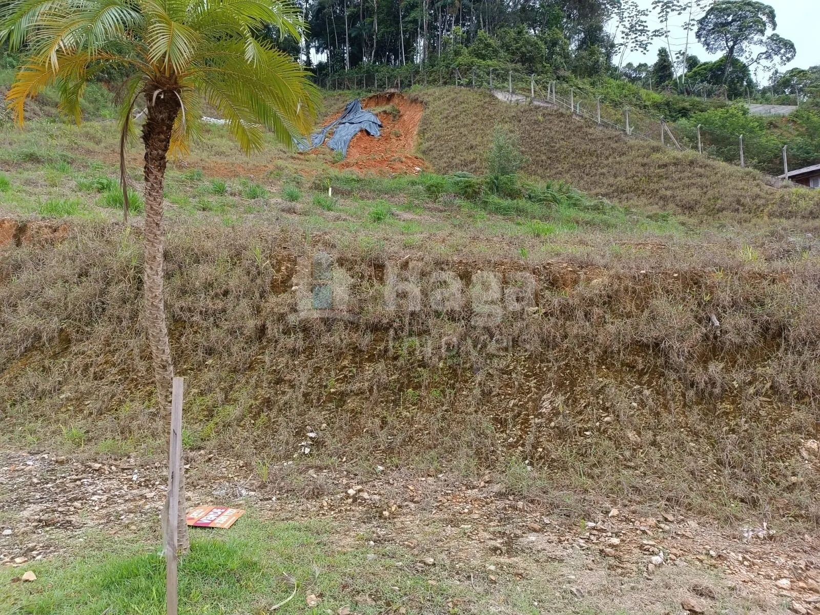 Terreno à venda de 248 m² em Brusque, SC, Brasil