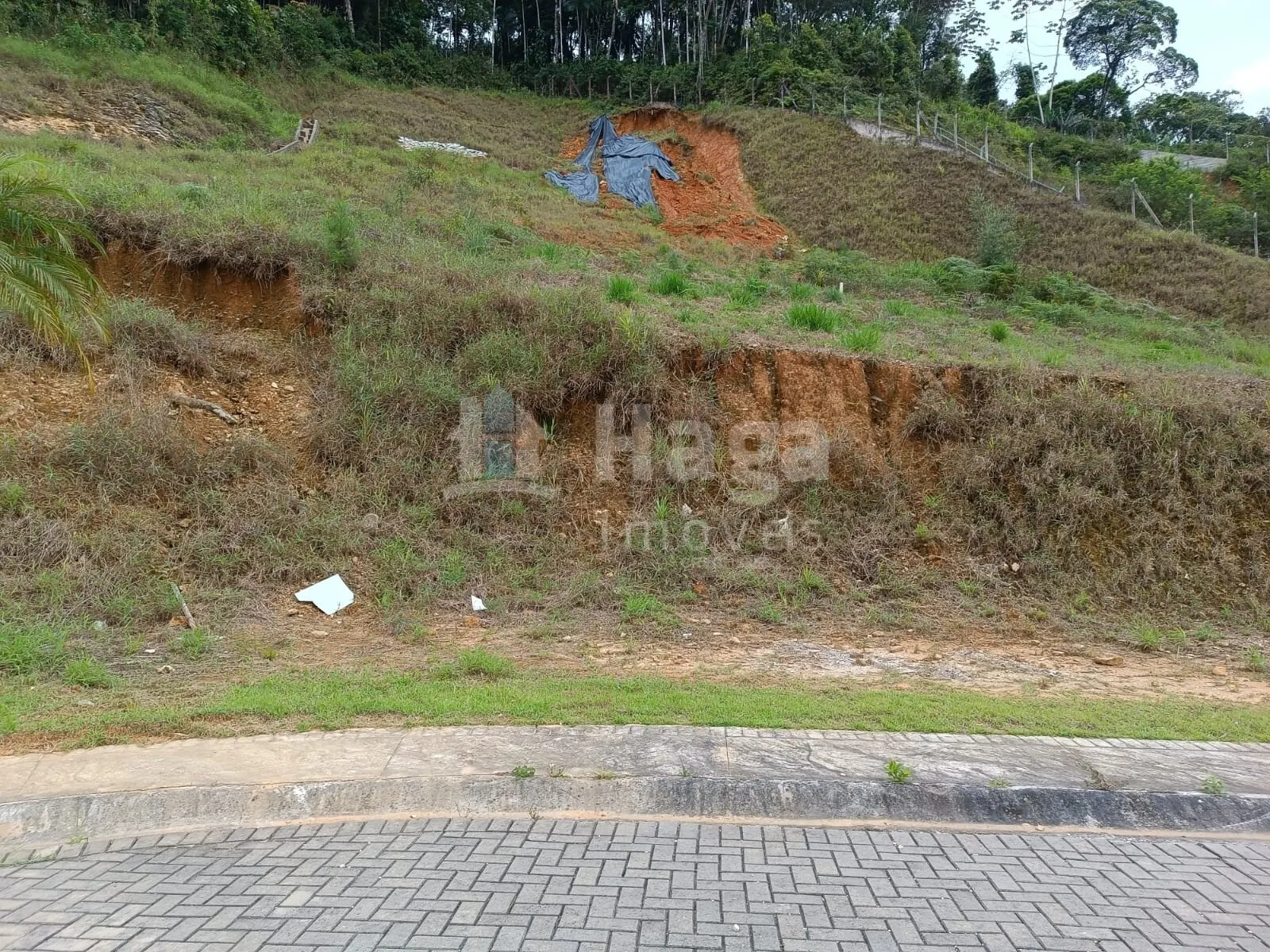 Terreno à venda de 248 m² em Brusque, SC, Brasil