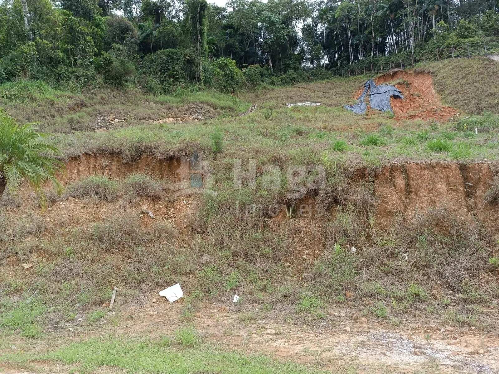 Terreno à venda de 248 m² em Brusque, SC, Brasil