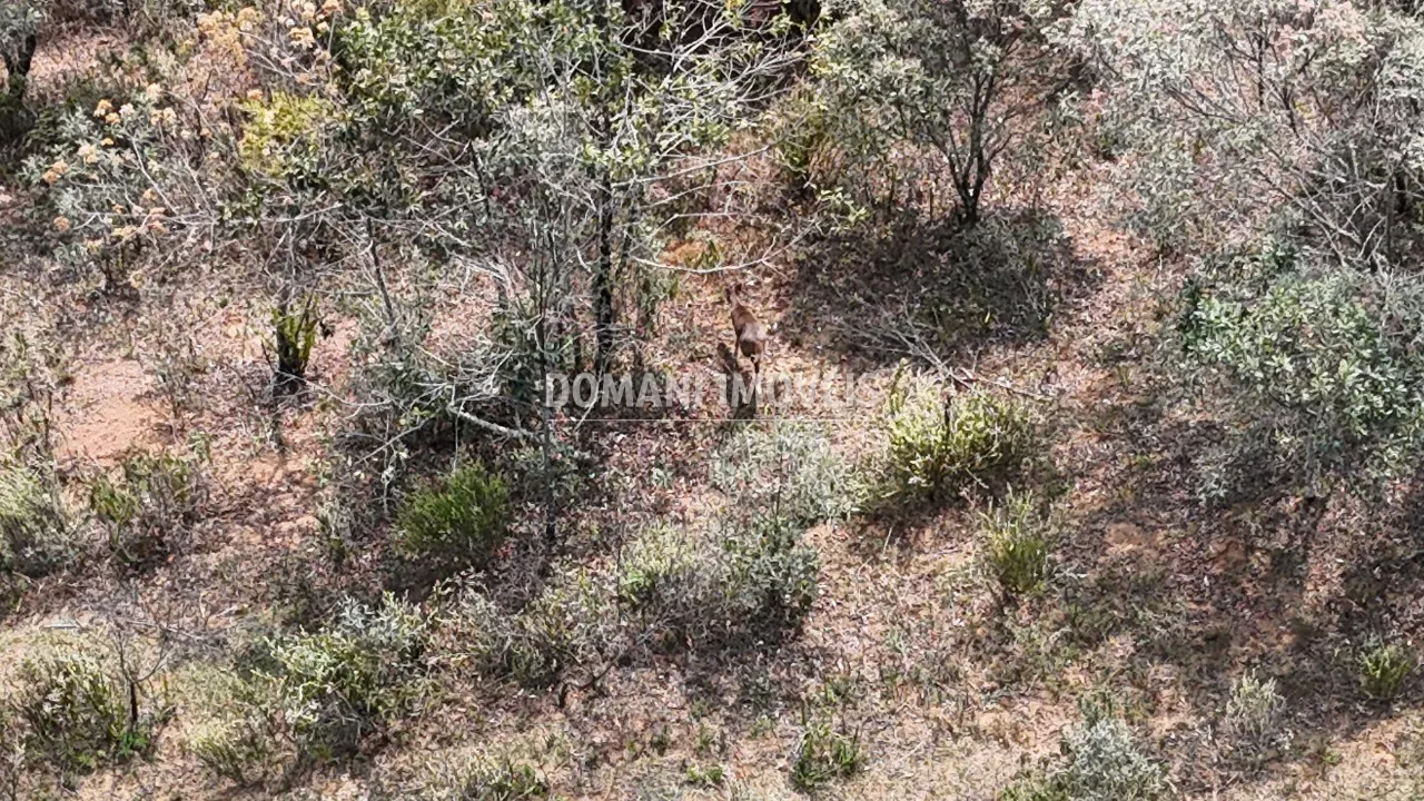 Plot for sale of 2 acres in Campos do Jordão, SP, Brazil