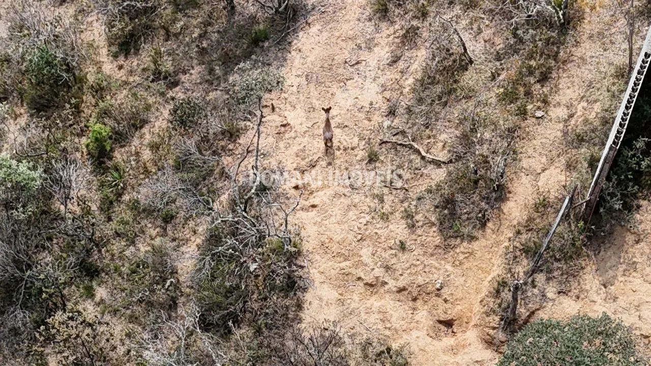 Plot for sale of 2 acres in Campos do Jordão, SP, Brazil