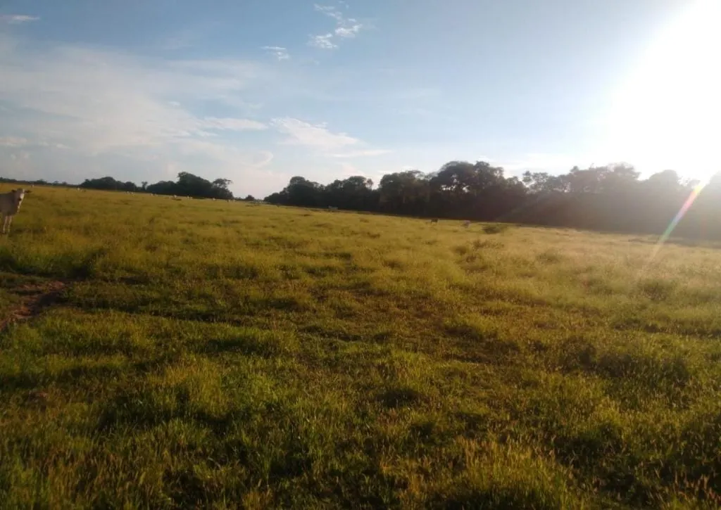 Fazenda à venda de 9.380 ha em Poconé, MT, Brasil