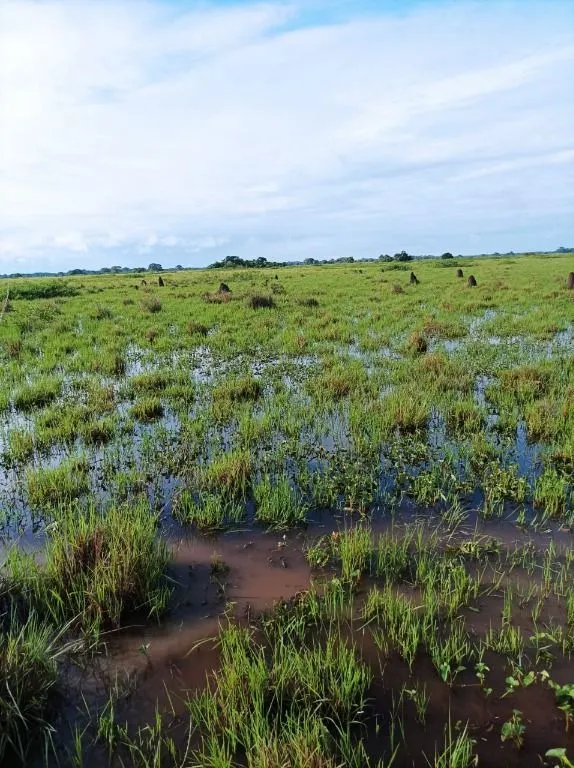 Fazenda à venda de 9.380 ha em Poconé, MT, Brasil