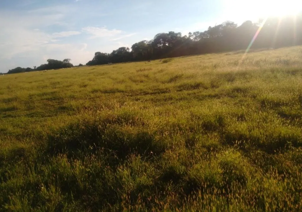 Fazenda à venda de 9.380 ha em Poconé, MT, Brasil