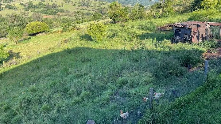Country home for sale of 25 acres in Caraá, RS, Brazil