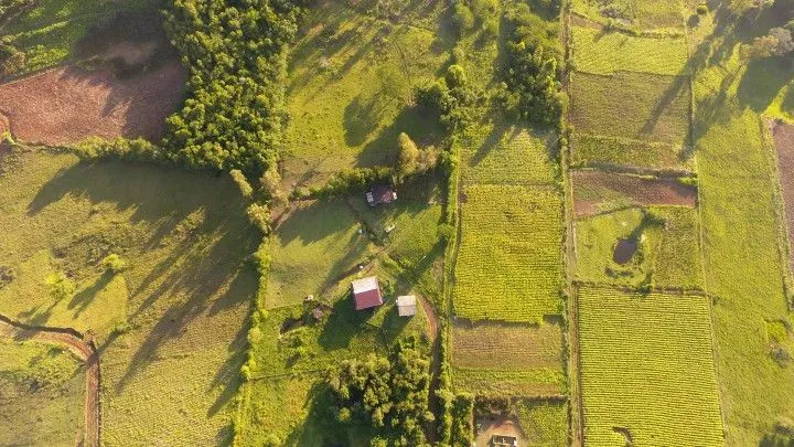 Country home for sale of 25 acres in Caraá, RS, Brazil