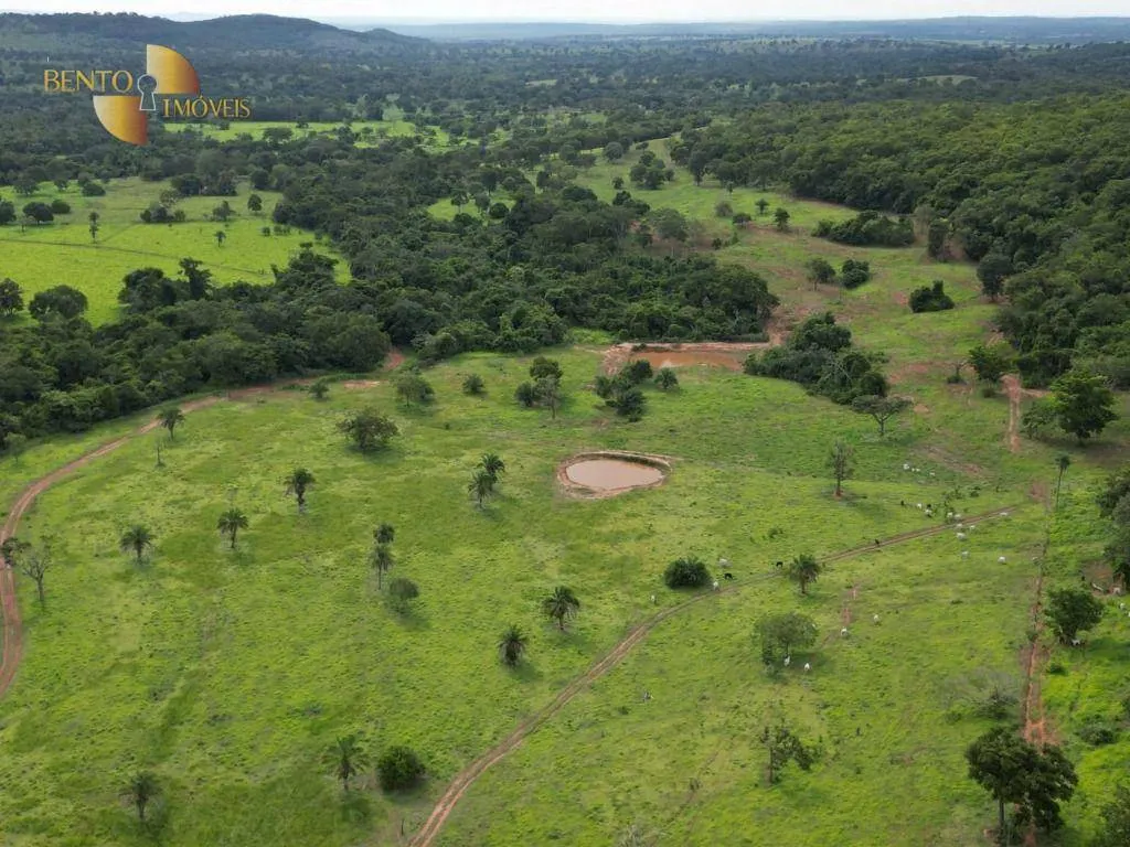Farm for sale of 440 acres in Pedra Preta, MT, Brazil