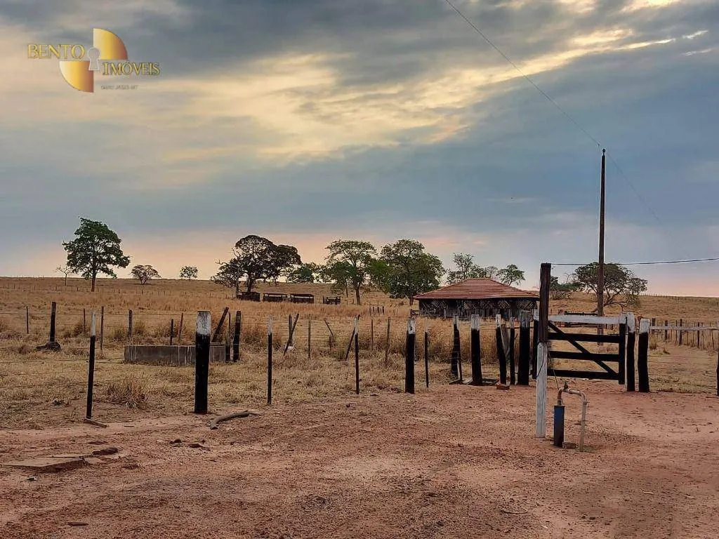 Farm for sale of 10,465 acres in Rondonópolis, MT, Brazil