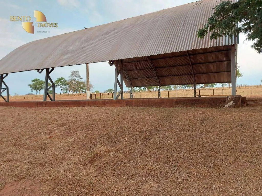Farm for sale of 10,465 acres in Rondonópolis, MT, Brazil