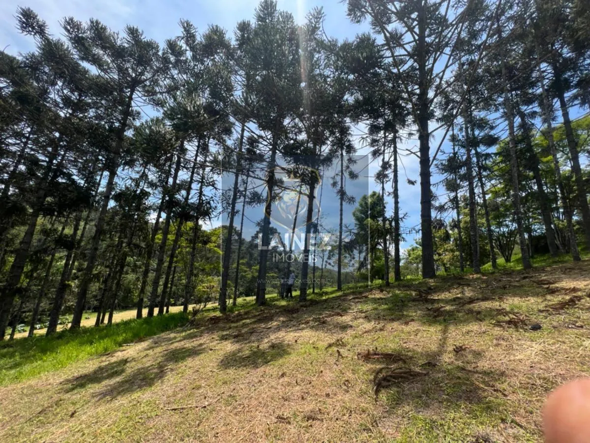 Sítio à venda de 27 ha em Juquitiba, SP, Brasil