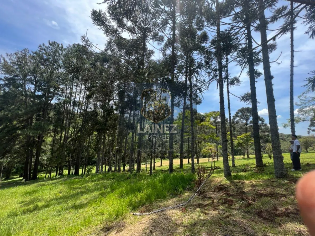 Sítio à venda de 27 ha em Juquitiba, SP, Brasil