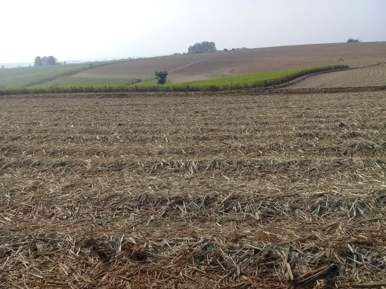 Farm for sale of 251 acres in Sorocaba, SP, Brazil