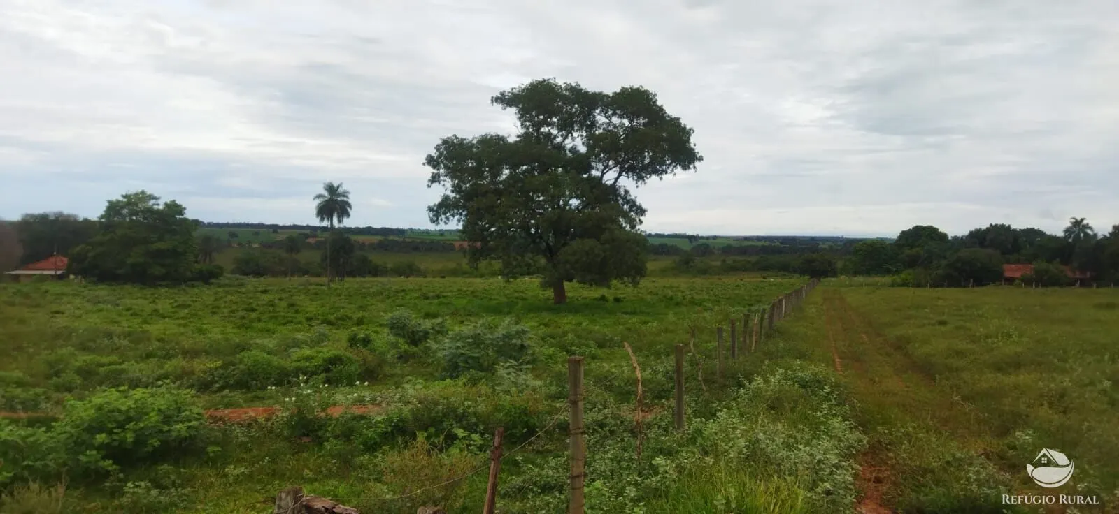 Sítio à venda de 9 ha em Fronteira, MG, Brasil