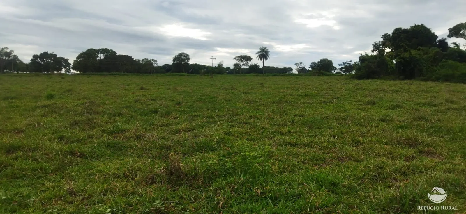 Sítio à venda de 9 ha em Fronteira, MG, Brasil