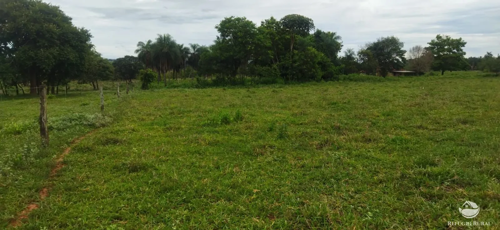 Sítio à venda de 9 ha em Fronteira, MG, Brasil