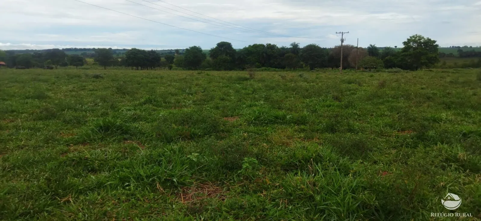 Sítio à venda de 9 ha em Fronteira, MG, Brasil