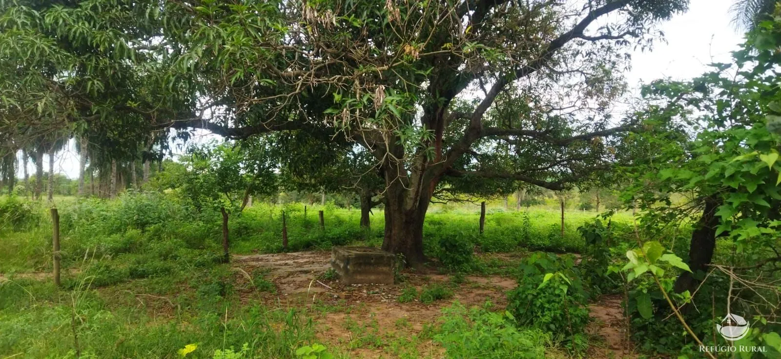 Sítio à venda de 9 ha em Fronteira, MG, Brasil