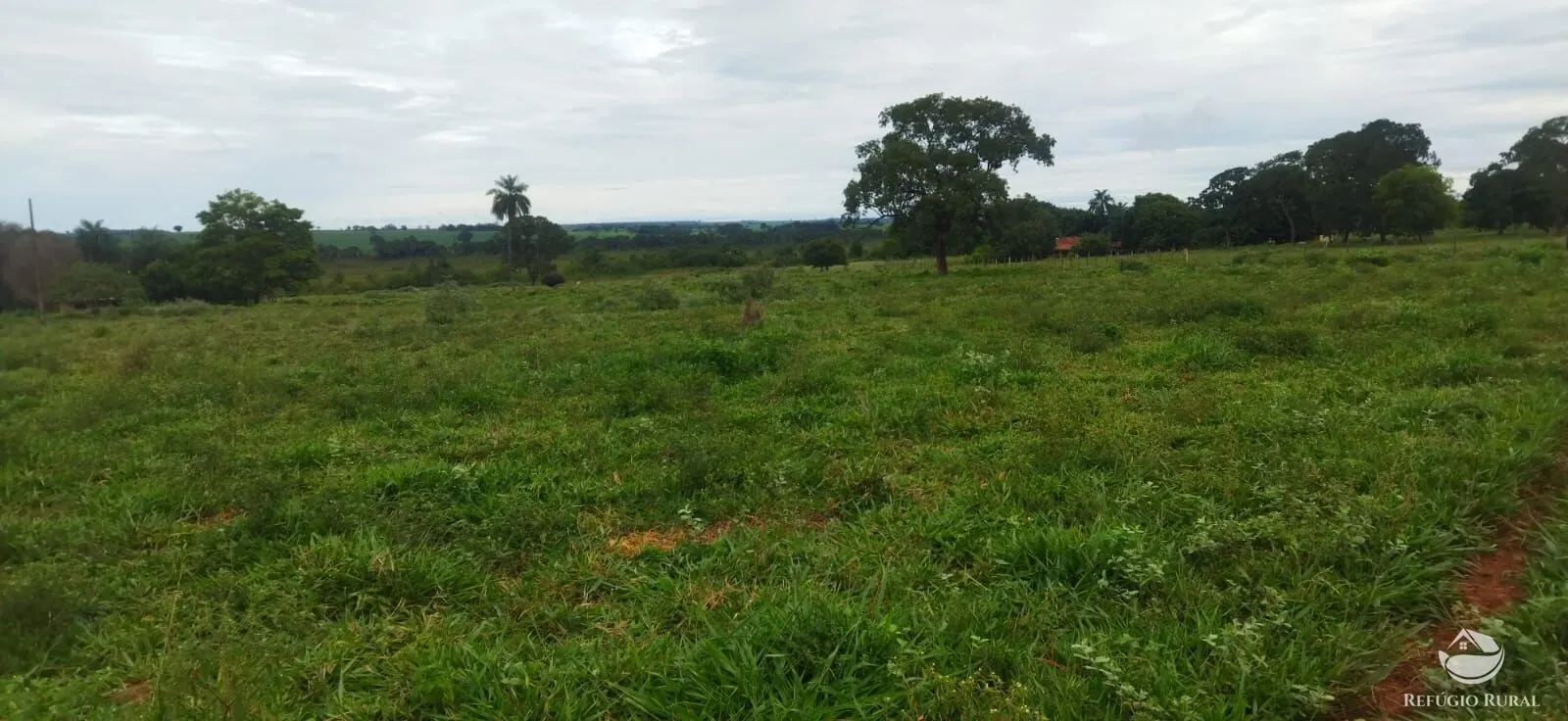 Sítio à venda de 9 ha em Fronteira, MG, Brasil
