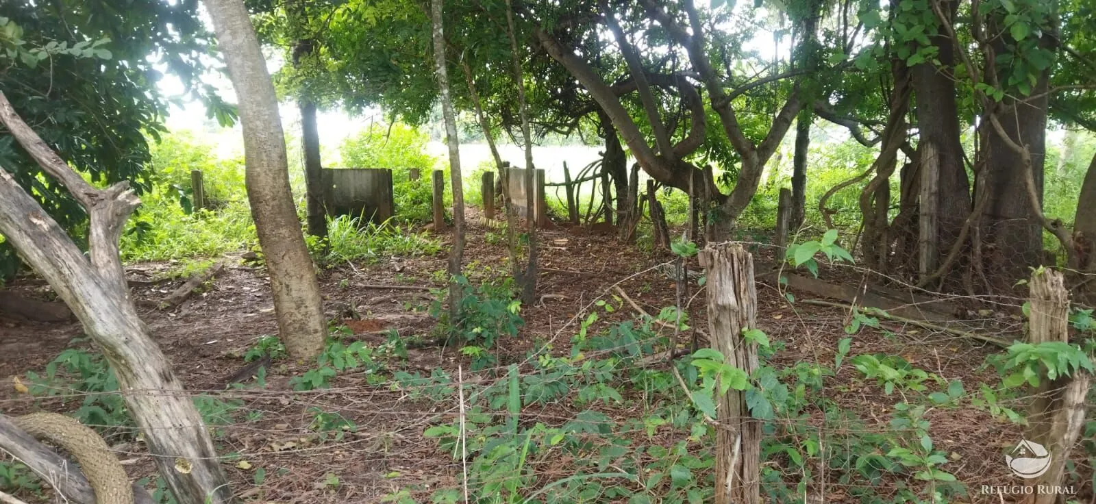 Sítio à venda de 9 ha em Fronteira, MG, Brasil