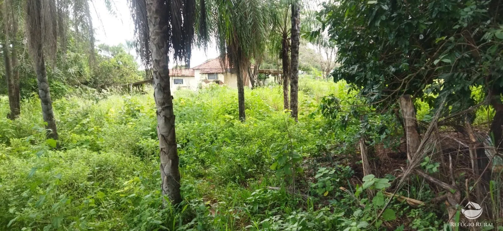 Sítio à venda de 9 ha em Fronteira, MG, Brasil