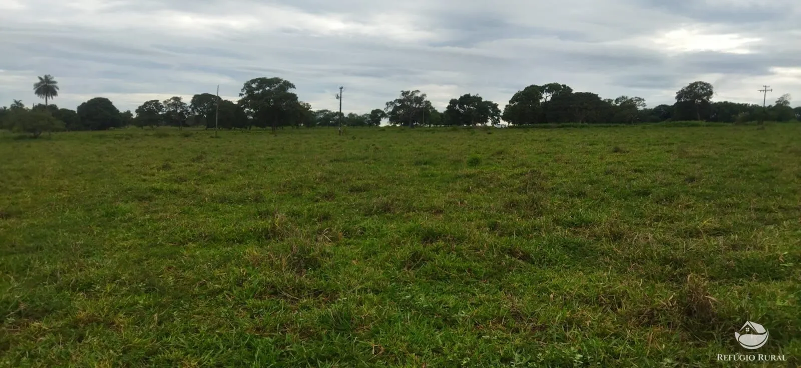 Sítio à venda de 9 ha em Fronteira, MG, Brasil