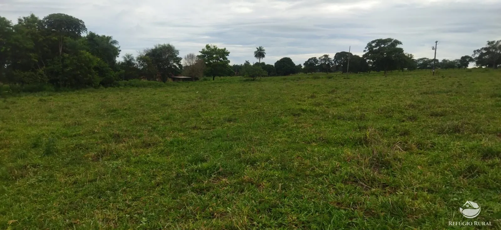 Sítio à venda de 9 ha em Fronteira, MG, Brasil