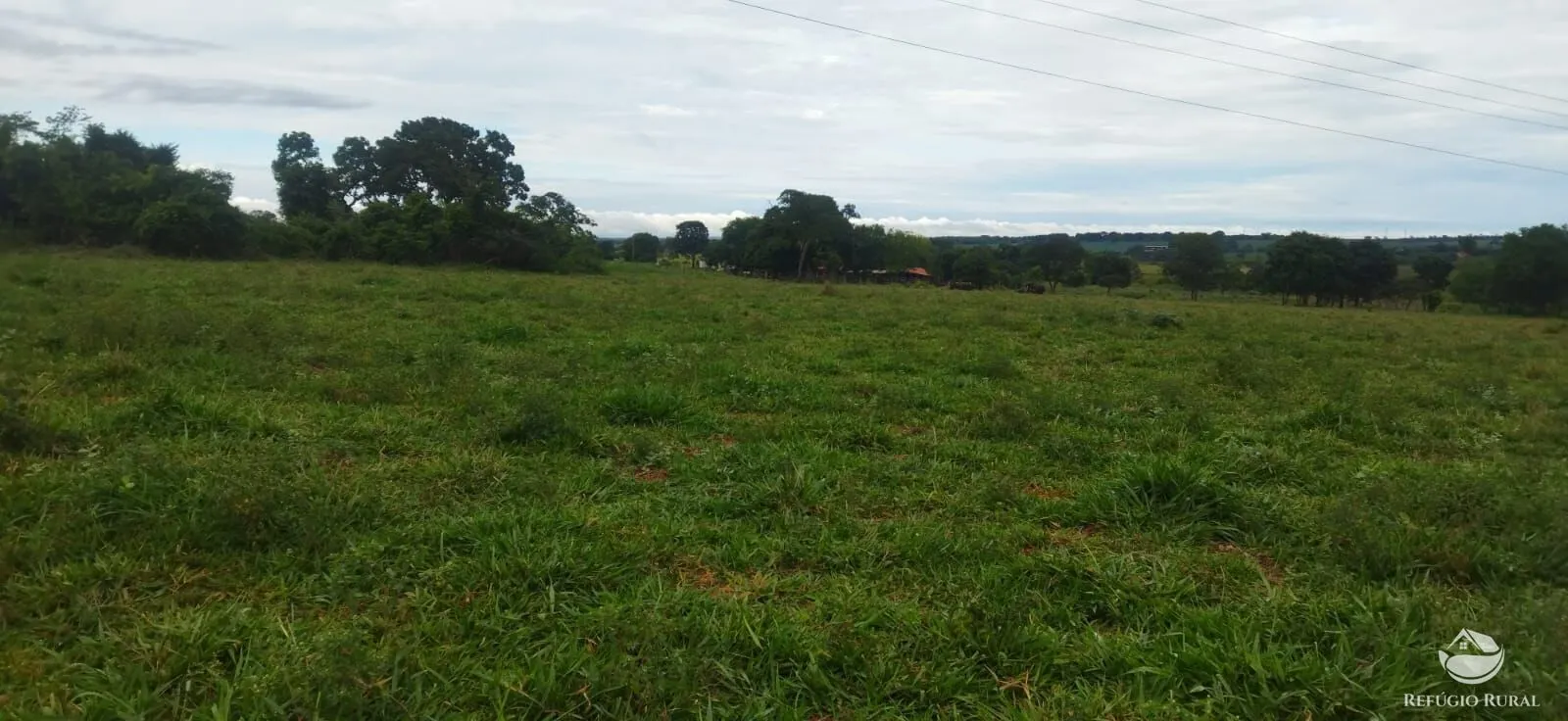 Sítio à venda de 9 ha em Fronteira, MG, Brasil