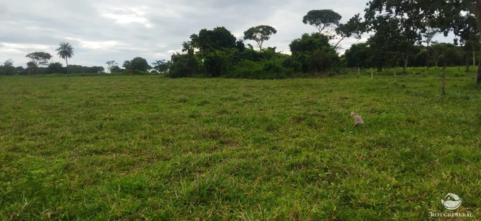 Sítio à venda de 9 ha em Fronteira, MG, Brasil