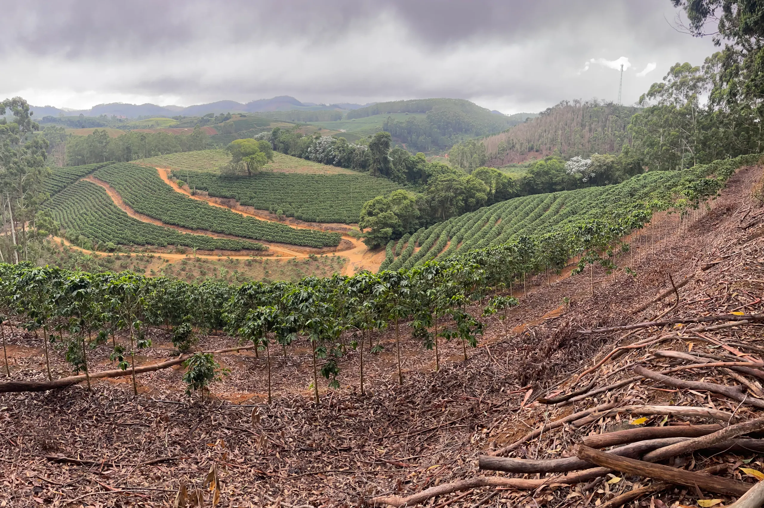 Fazenda à venda de 110 ha em Santa Teresa, ES, Brasil