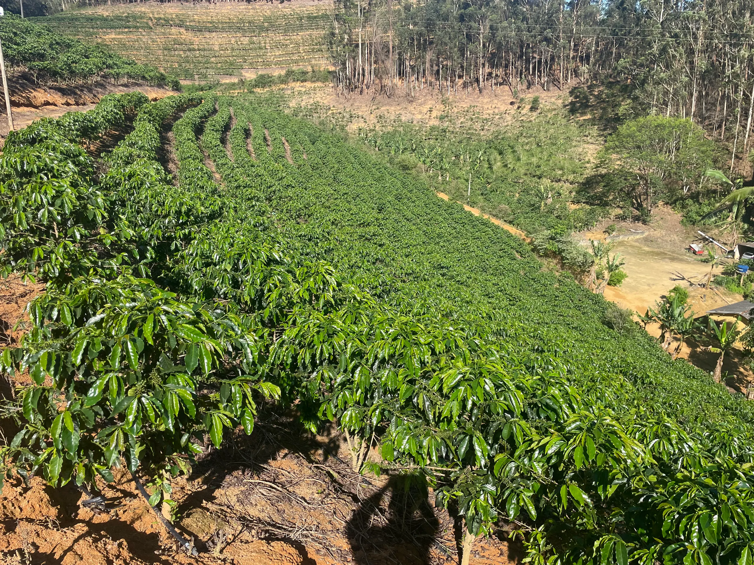 Fazenda à venda de 110 ha em Santa Teresa, ES, Brasil