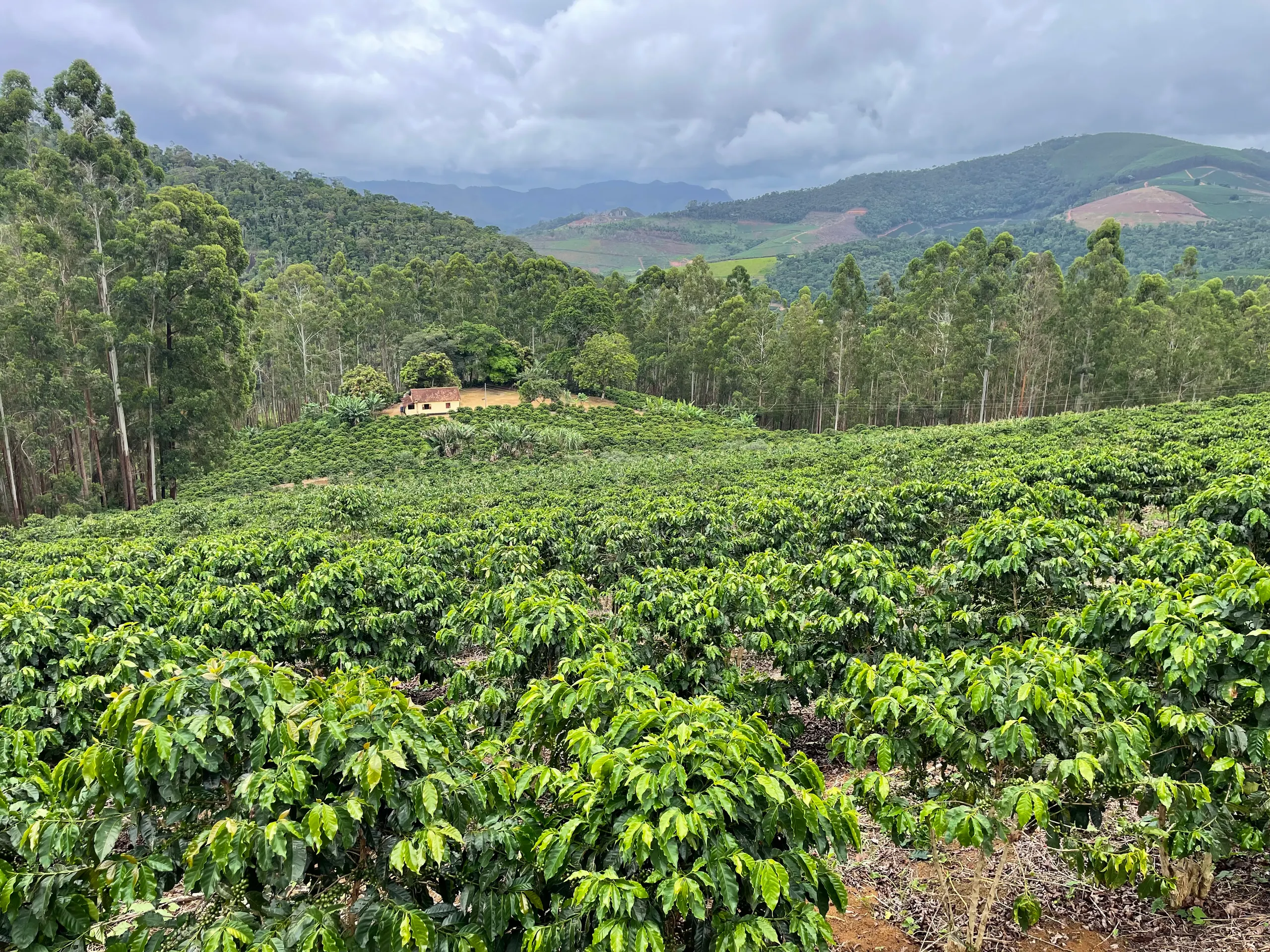 Fazenda à venda de 110 ha em Santa Teresa, ES, Brasil
