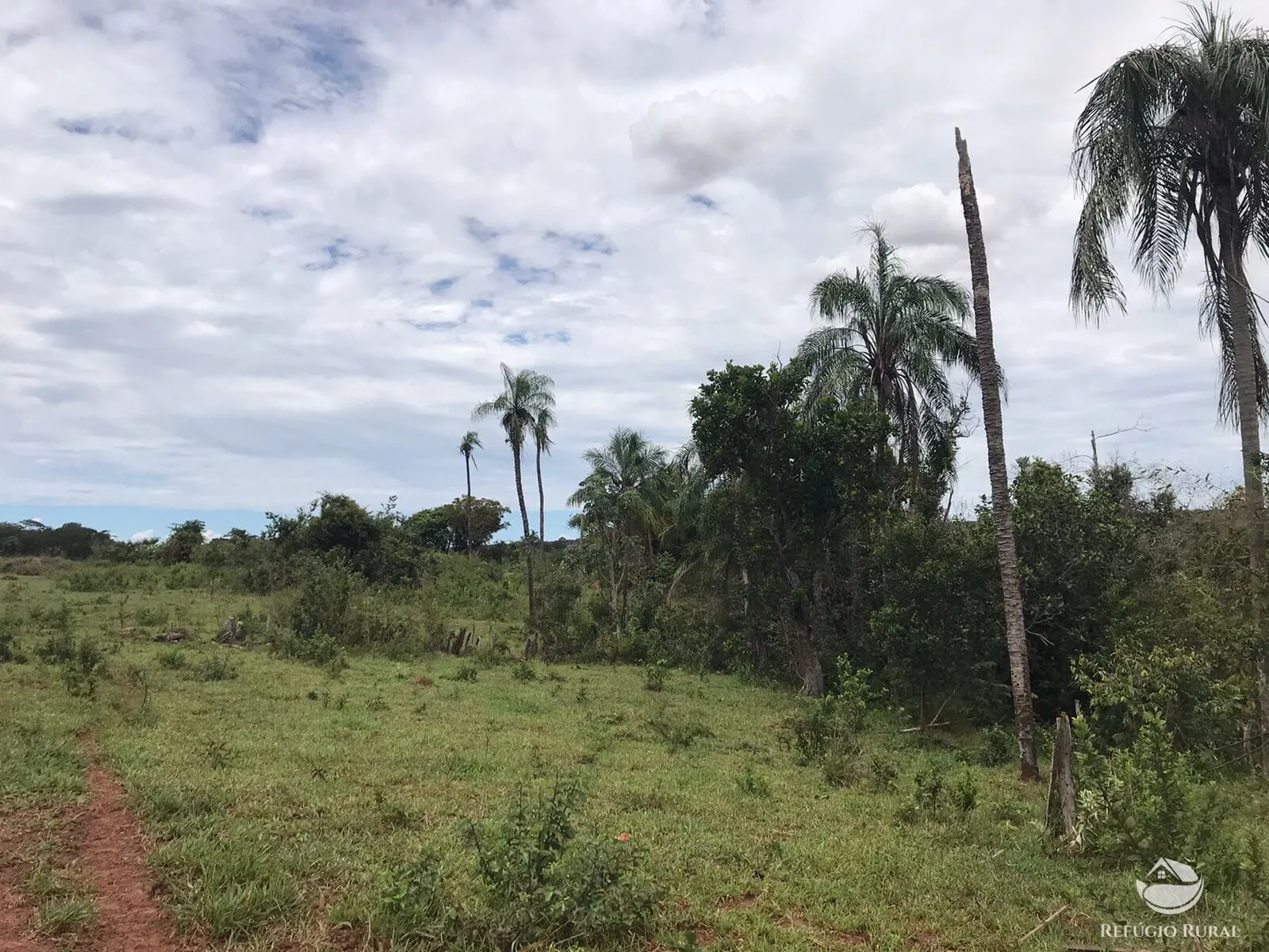 Fazenda à venda de 135 ha em Figueirão, MS, Brasil