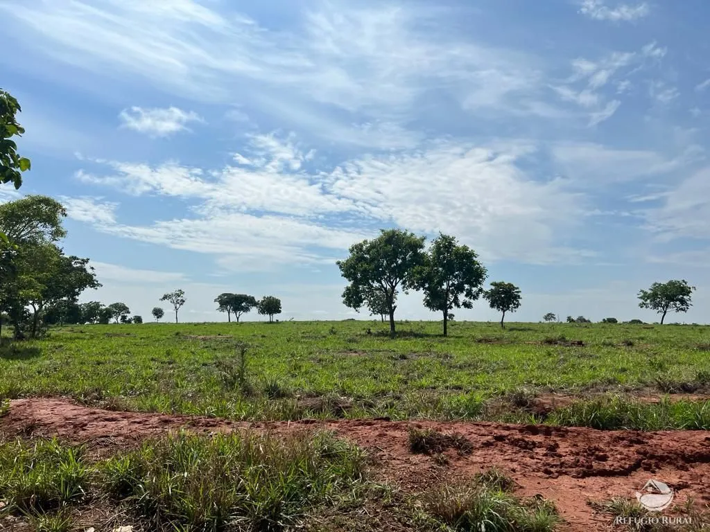 Fazenda à venda de 726 ha em Quirinópolis, GO, Brasil