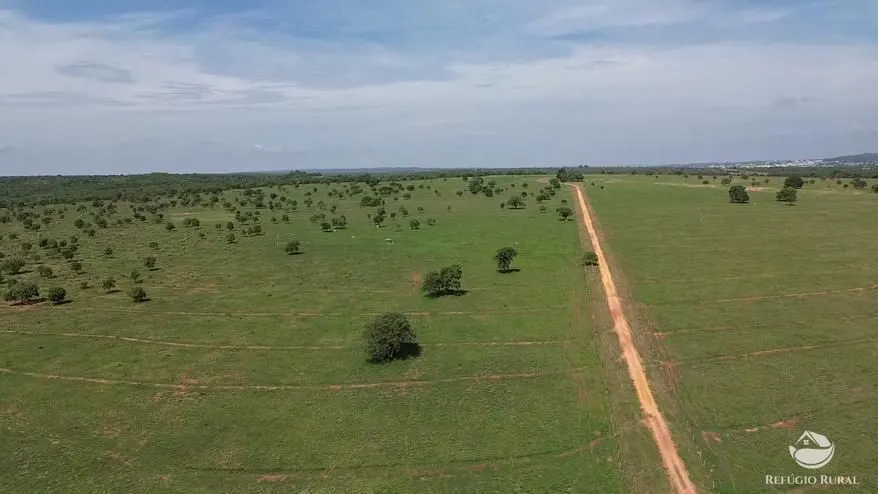 Fazenda à venda de 726 ha em Quirinópolis, GO, Brasil
