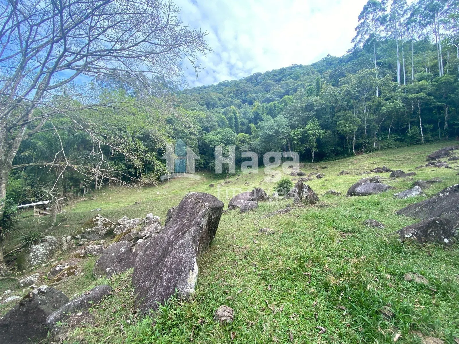 Casa à venda de 100 m² em Nova Trento, SC, Brasil