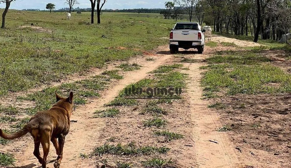 Fazenda à venda de 712 ha em Botucatu, SP, Brasil