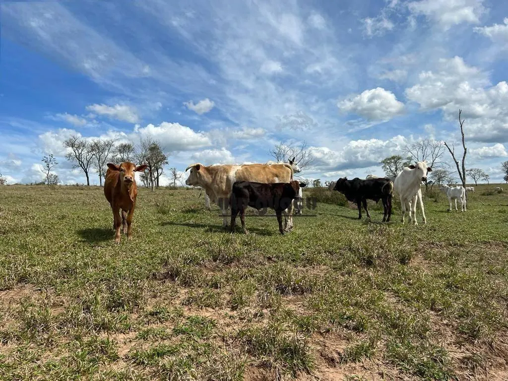 Fazenda à venda de 712 ha em Botucatu, SP, Brasil