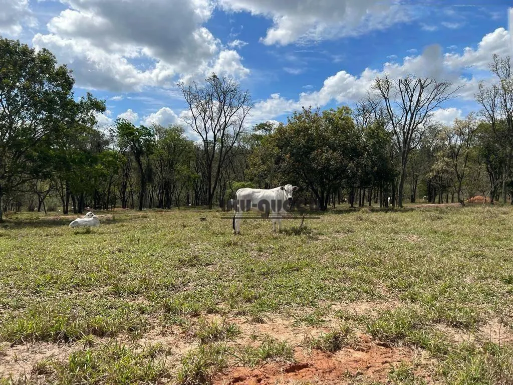 Fazenda à venda de 712 ha em Botucatu, SP, Brasil
