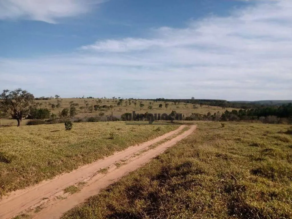Fazenda à venda de 712 ha em Botucatu, SP, Brasil