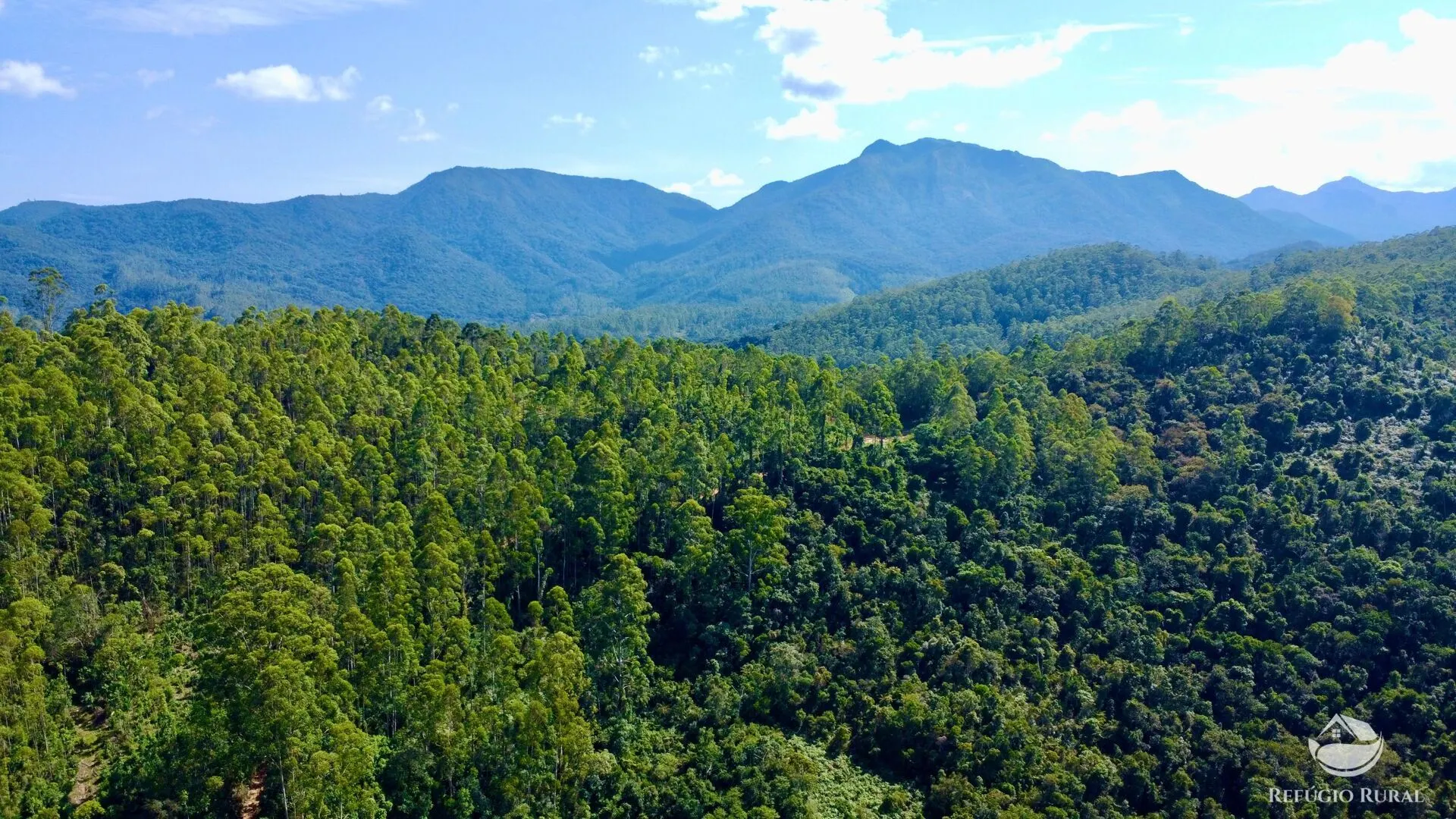 Fazenda à venda de 143 ha em Joanópolis, SP, Brasil