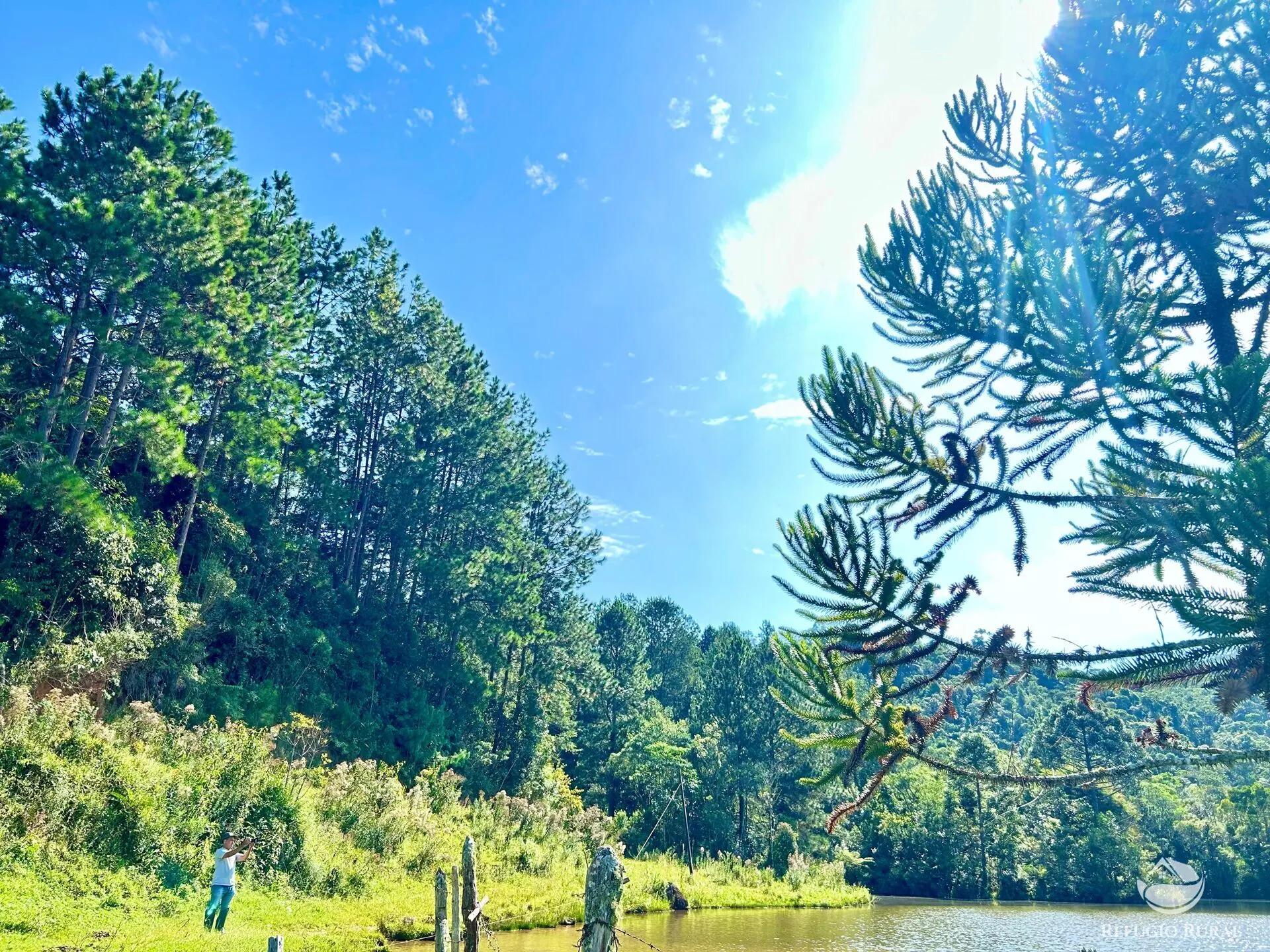 Fazenda à venda de 143 ha em Joanópolis, SP, Brasil