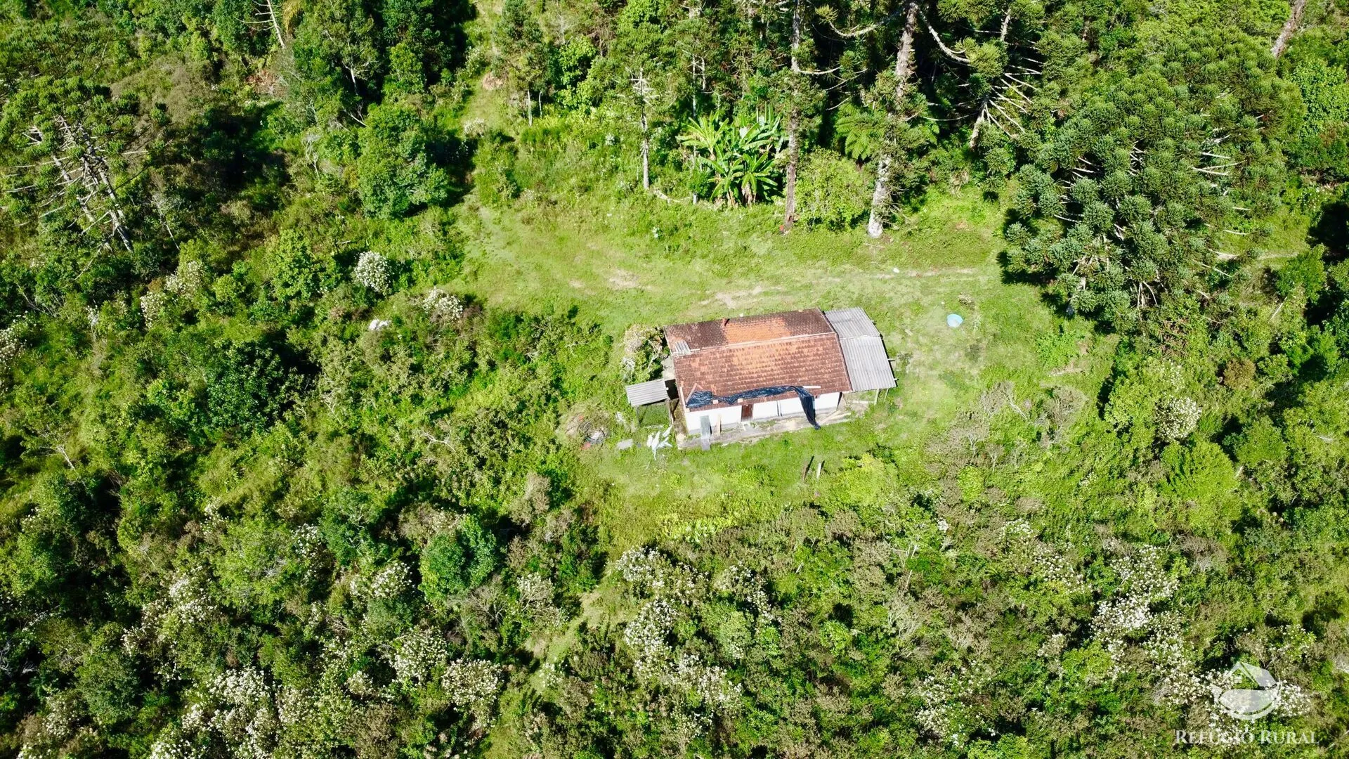 Fazenda à venda de 143 ha em Joanópolis, SP, Brasil