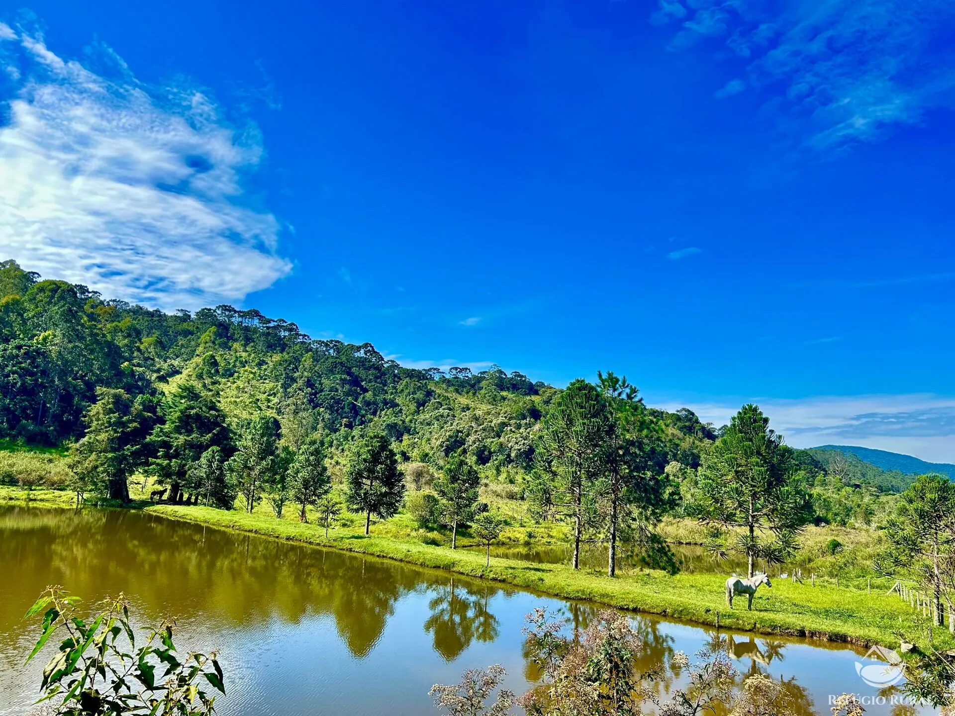 Fazenda à venda de 143 ha em Joanópolis, SP, Brasil