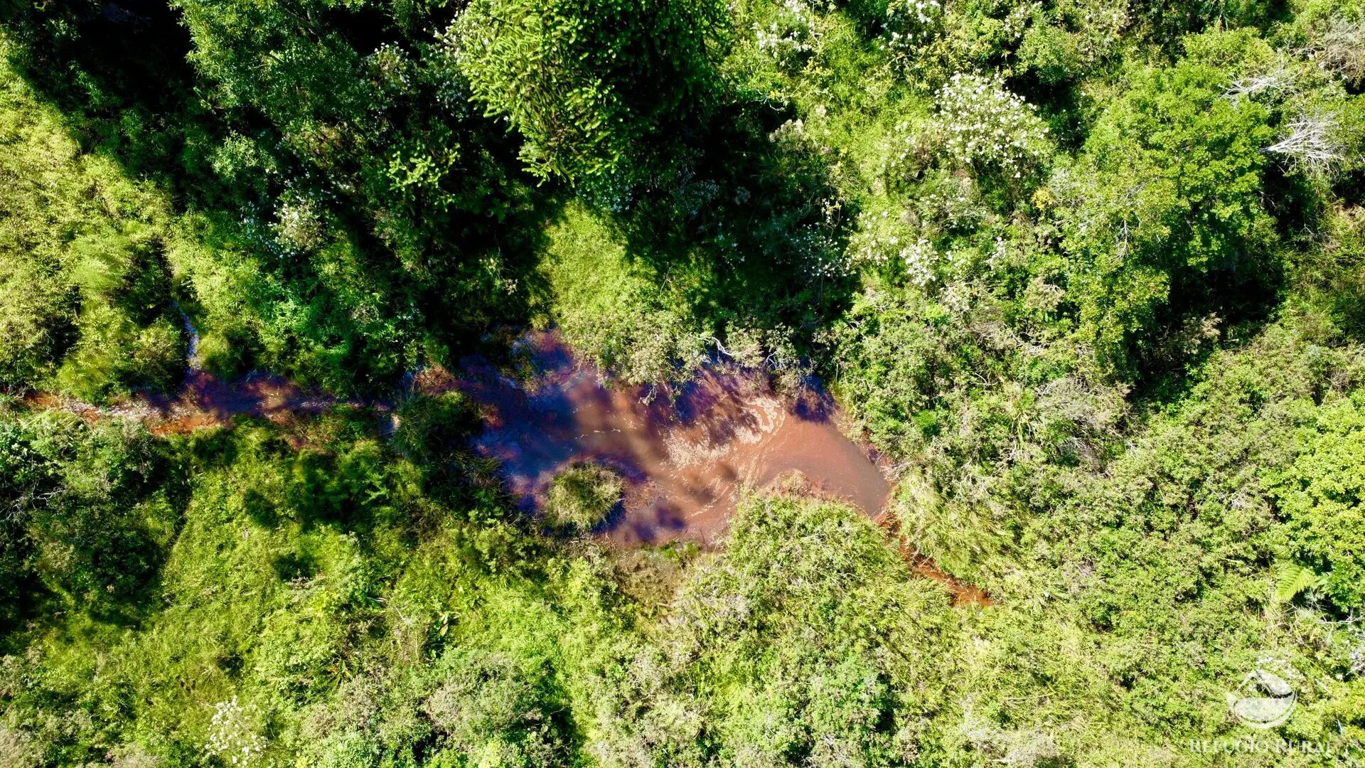Fazenda à venda de 143 ha em Joanópolis, SP, Brasil