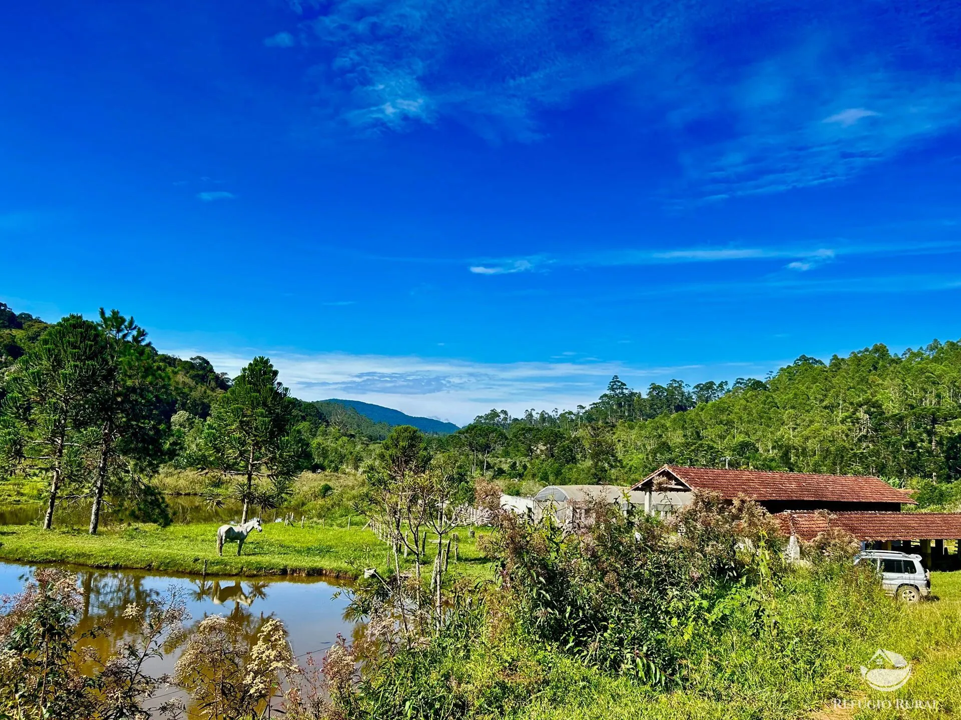 Fazenda à venda de 143 ha em Joanópolis, SP, Brasil
