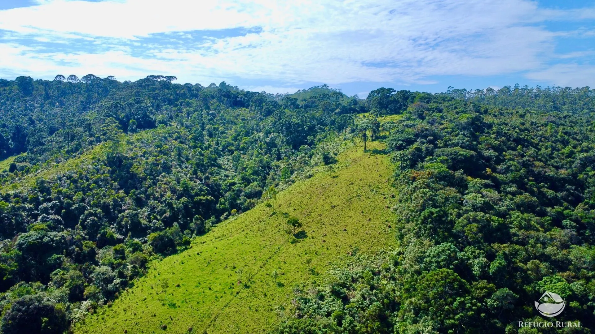 Fazenda à venda de 143 ha em Joanópolis, SP, Brasil
