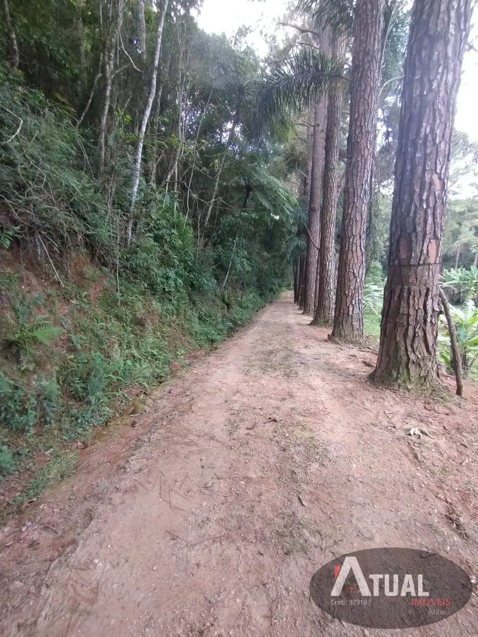 Terreno à venda de 8 ha em Mairiporã, SP, Brasil