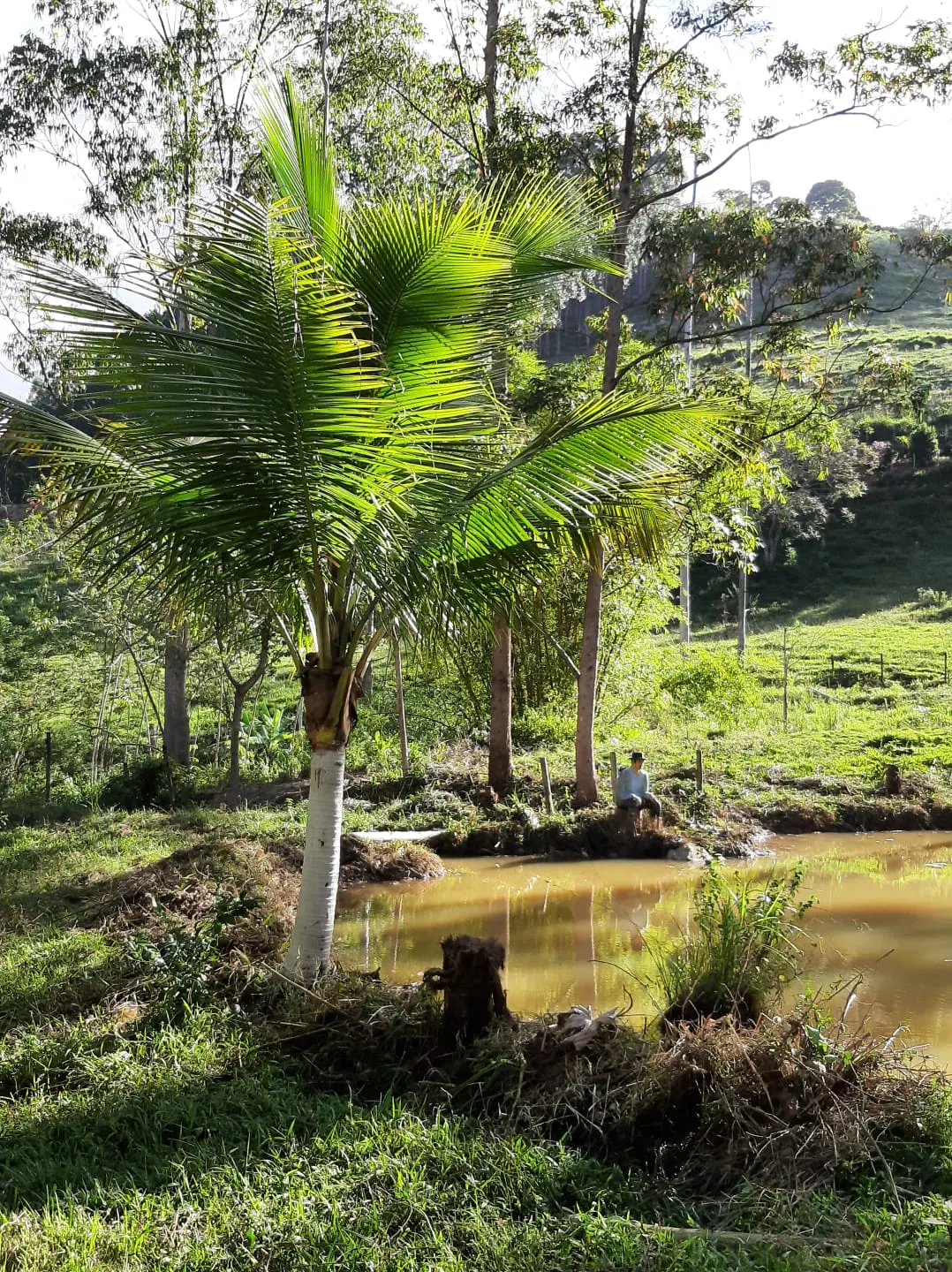 Chácara à venda de 1 ha em Itamarati de Minas, MG, Brasil
